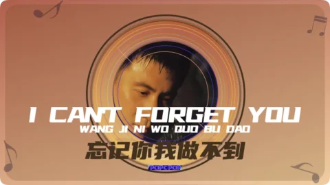 Full Chinese Music Song I Can’t Forget You Lyrics For Wang Ji Ni Wo Zuo Bu Dao in Chinese with Pinyin